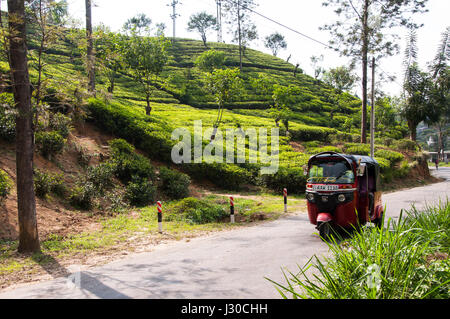 Un Tuk Tuk passando la piantagione di tè Foto Stock