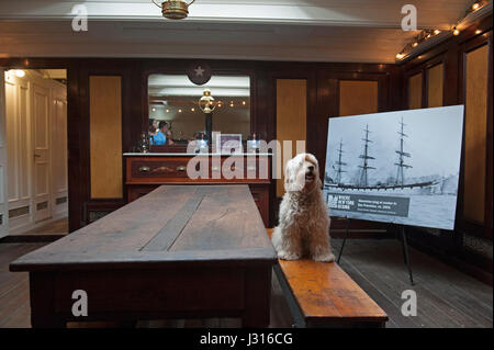 Un cane si siede il capitano della berlina sul 1885 cargo nave a vela Wavertree, che appartiene al South Street Seaport Museum di Lower Manhattan. Foto Stock