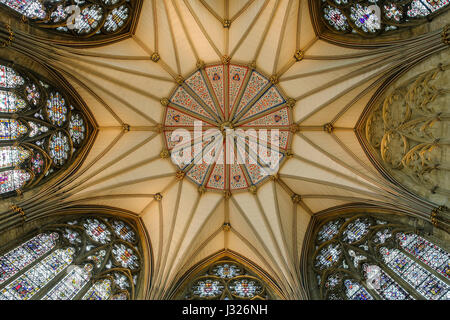 La Chapter House soffitto all'interno di York Minster Foto Stock