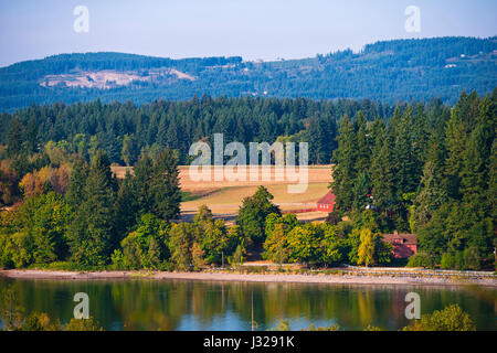 Paesaggio estivo con un campo di ingiallito circondato da verdi alberi, dietro la quale si possono vedere le colline coperte di foreste. In primo piano è a l Foto Stock