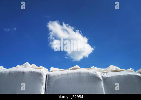 Arte fotografia: Close up di bianco i contenitori in plastica contro il cielo blu con una nuvola bianca, Germania Foto Stock