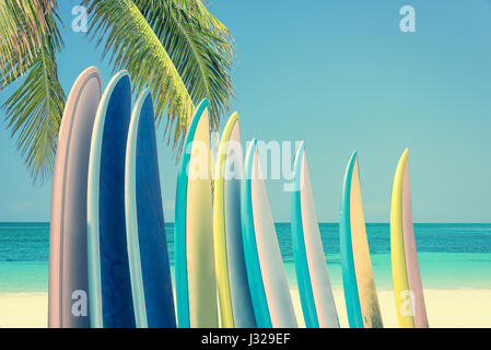 Pila di colorate tavole da surf su una spiaggia tropicale dall'oceano con Palm tree, retro vintage filtro Foto Stock