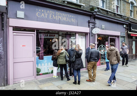 Pedoni guardare i gatti nella finestra del gatto Emporium in Shoreditch, a est di Londra. Il popolare cafe consente ai clienti di mangiare circondato da graziosi gatti. Foto Stock