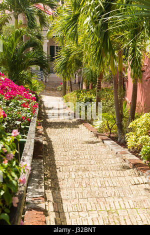 99 passaggi in Charlotte Amalie, san Tommaso, Isole Vergini USA, Caraibi Foto Stock