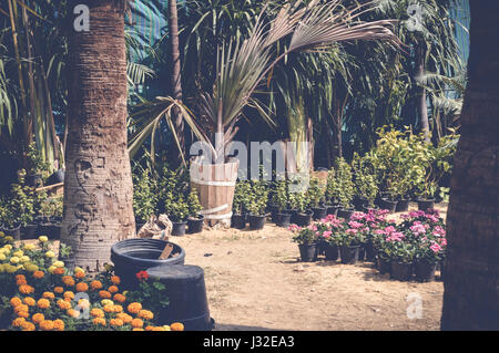 Giardino di fiori di sfondo Foto Stock