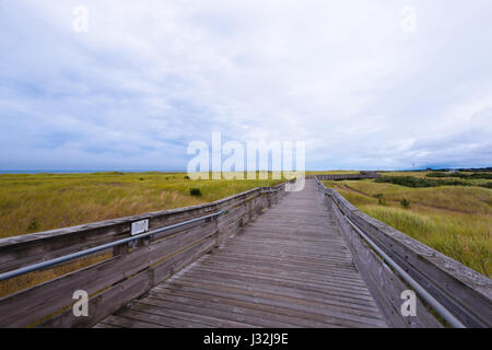 Lungo che si estende un punto all'orizzonte pavimento in legno molo di legno con albero di mare naturale intemperie e salato Oceano, che si estende lungo la pista Foto Stock
