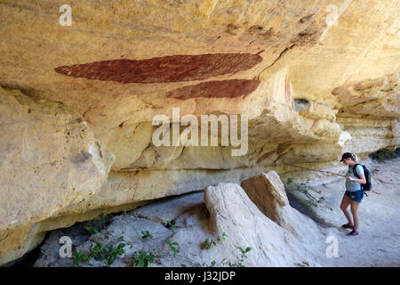 Donna che guarda Quinkan arte rock tra cui anguille, Jawalbinna, Laura, meridionale di Cape York Peninsula, Queensland, Australia. No signor Foto Stock