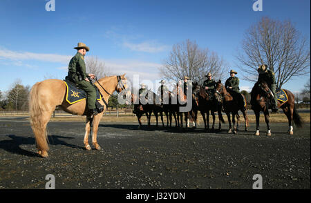 I membri della U.S. Border Patrol Horse Patrol Unit sono visti al Great Meadow Events Center di Plains, Virginia, il 18 gennaio 2017, in preparazione all'inaugurazione di Donald Trump, il 45° presidente degli Stati Uniti. Questa immagine cattura un momento di organizzazione e preparazione per l'evento di alto profilo. Foto Stock