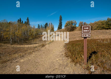 Segno lungo lo spirito Sands trail, boschi di abete rosso Parco Provinciale, Manitoba, Canada Foto Stock