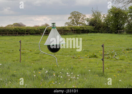 Una trappola di mosca di cavallo di Bite-Lite in un campo vicino a Wendover, Buckinghamshire, Regno Unito. Foto Stock