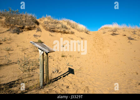 Spirito Sands trail, boschi di abete rosso Parco Provinciale, Manitoba, Canada Foto Stock