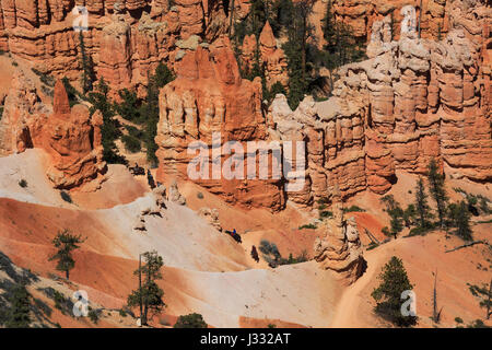 cavalieri su un sentiero nel bryce canyon national park, utah Foto Stock