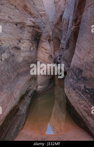 Foro di acqua in zebra canyon in harris lavabo vicino a Escalante, Utah Foto Stock