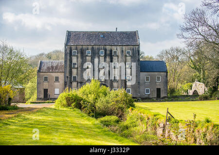 Piscina nero Mill, nei pressi di Ponte Canaston, Pembrokshire, Wales, Regno Unito Foto Stock