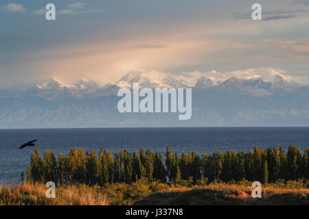 Issyk Kul paesaggio del lago con le montagne sullo sfondo si vede vicino Cholpon Ata, Kirghizistan. Foto Stock