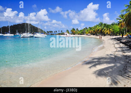 Spiaggia con le navi a vela, palme e turisti di balneazione, mare, Saltwhistle Bay, Mayreau, Tobago Cays, Saint Vincent, Saint Vincent e Grenadine, Piccole Antille, West Indies, isole Windward, Antille, dei Caraibi e America centrale Foto Stock