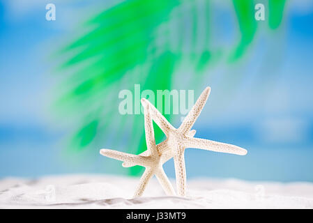 Stella bianca con vista oceano, sulla spiaggia di sabbia bianca, sky e seascape, shallow dof Foto Stock