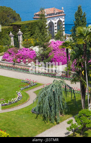 Isola Bella giardini di Isola Bella, Lago Maggiore, Italia nel mese di aprile Foto Stock