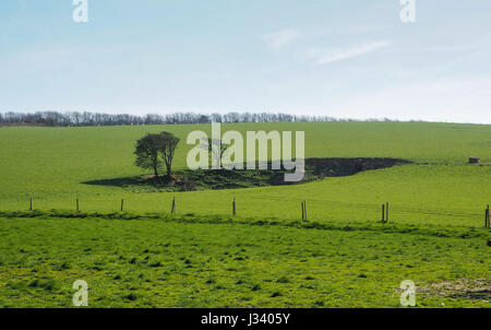 Campagna schisi cicatrice foro cavo fessura nella alberata campo di erba con alberi isolati e la recinzione di scherma Foto Stock