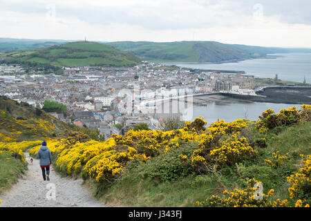 Vista,da,Costituzione,Hill,sopra,coastal,città,d,Aberystwyth,Cardigan Bay,nel maggio,West Wales,Galles,U.K.,GB, Foto Stock