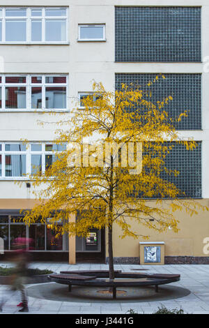 Fredda stile comunista blocchi di appartamenti a Wroclaw in Polonia in autunno (foglie di giallo) con gente camminare passato offuscata con motion. Foto Stock