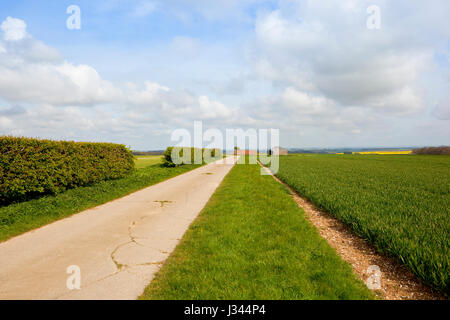 Una sezione di calcestruzzo bridleway accanto a una siepe di biancospino e campo di grano con la fattoria annessi e una vista della valle di york sotto un blu nuvoloso s Foto Stock