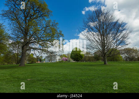 Mote park in Maidstone,Kent,Inghilterra, Foto Stock