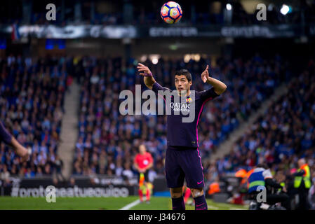 Barcellona - Apr 29: Luis Suarez gioca in La Liga match tra RCD Espanyol e FC Barcellona a RCDE Stadium il 29 aprile 2017 a Barcellona, Spagna Foto Stock