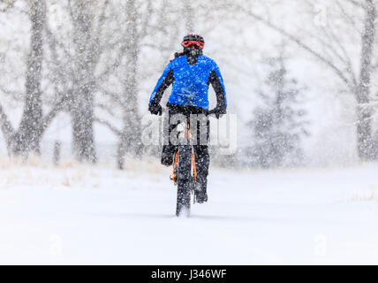 In sella a una moto di grasso in una tempesta di neve, Thunder Bay, Ontario, Canada. Foto Stock