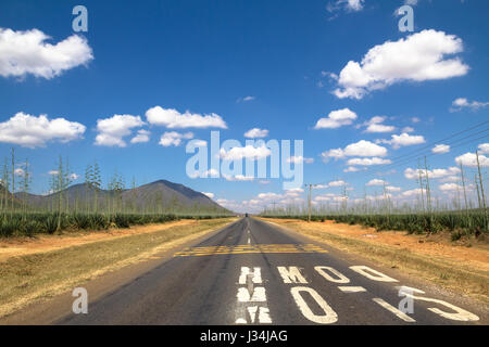 Tratto di strada rettilineo vanishing all'infinito chiama velocizzando il driver. Immagine presa nel mezzo della strada accanto parole "rallentare" dipinta sulla strada Foto Stock