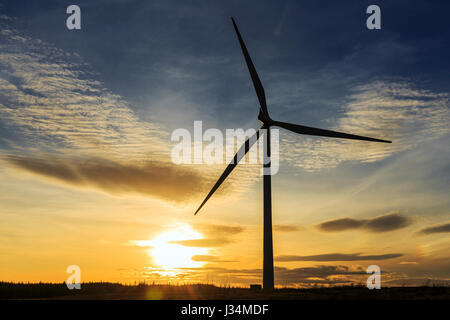 Turbina eolica al tramonto su Eaglesham Moor, Whitelee wind farm, vicino a Glasgow, Scotland, Regno Unito Foto Stock