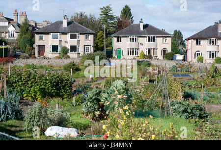 Assegnazioni di giardinaggio,, Kendal Cumbria. Foto Stock