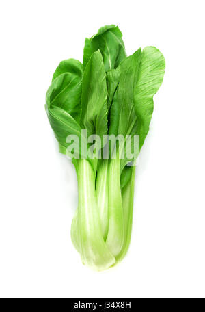 Verdure pakchoi verde isolato su sfondo bianco Foto Stock