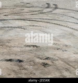 Marchi di pneumatici sul marciapiede vicino a Corpus Christi, Texas USA Foto Stock