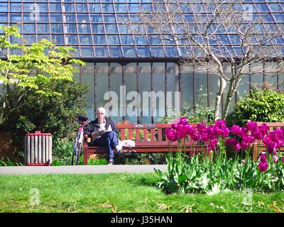 Botanic Gardens, Glasgow, Regno Unito. Il 3 maggio, 2017. Glaswegians godetevi una bella giornata nel giardino botanico di Glasgow e il West End. Credito: ALAN OLIVER/Alamy Live News Foto Stock