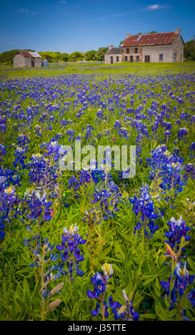 Cade in marmo è una città nella Contea di Burnett, Texas, Stati Uniti. Lago rientra in marmo è parte dell'altopiano dei laghi sul fiume Colorado, il più grande chai Foto Stock