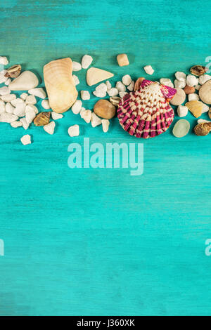 Una foto aerea di conchiglie di mare e ciottoli su una vivace turchese texture di sfondo con abbondanza di spazio di copia Foto Stock