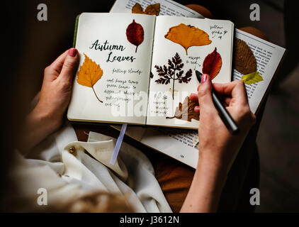 Le mani la scrittura di dettaglio di fiori secchi di raccolta in Notebook lavori fatti a mano Hobby Foto Stock