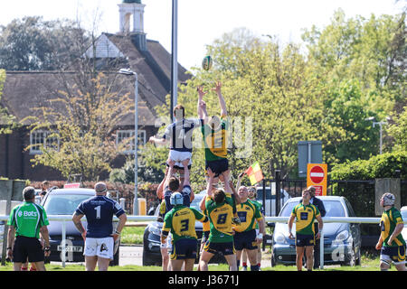 Partita di Rugby. Aprile 2017. Henley tori vs London Scottish.Richmond Rugby Club, Twickenham, London, Regno Unito Foto Stock