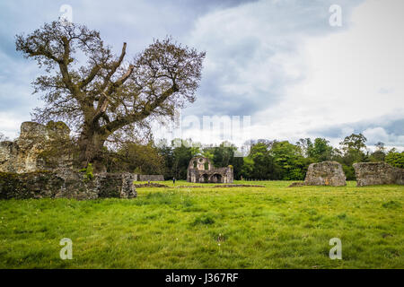 Rovine della Abbazia di Waverley a Farnham, Surrey, England, Regno Unito Foto Stock