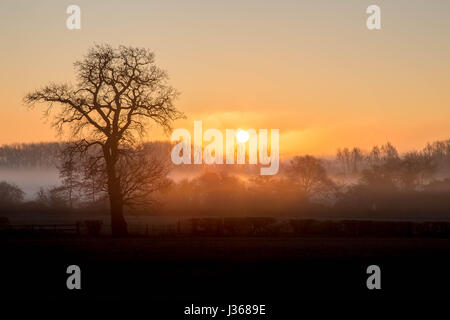 Misty alba sul campo in Birstall Leicester Foto Stock