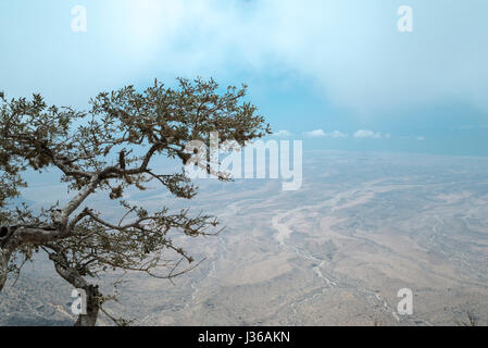 Sumhan montagna, Dhofar Governatorato, Oman Foto Stock