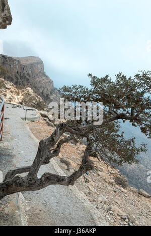 Sumhan montagna, Dhofar Governatorato, Oman Foto Stock