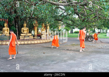 I monaci a Bodhi tree, Vientiane Foto Stock