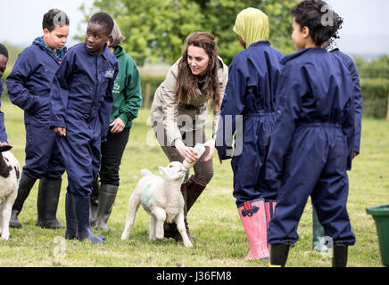 La Duchessa di Cambridge alimenta Stinky l'agnello in un campo con la scuola i bambini durante una visita alle aziende agricole per bambini di città della carità in Gloucester, dove lei ha visto il loro lavoro dando ai giovani dalla città dell'interno la possibilità di trascorrere una settimana in una fattoria di lavoro. Foto Stock