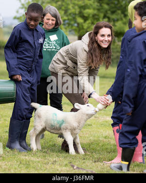 La Duchessa di Cambridge alimenta Stinky l'agnello in un campo con la scuola i bambini durante una visita alle aziende agricole per bambini di città della carità in Gloucester, dove lei ha visto il loro lavoro dando ai giovani dalla città dell'interno la possibilità di trascorrere una settimana in una fattoria di lavoro. Foto Stock