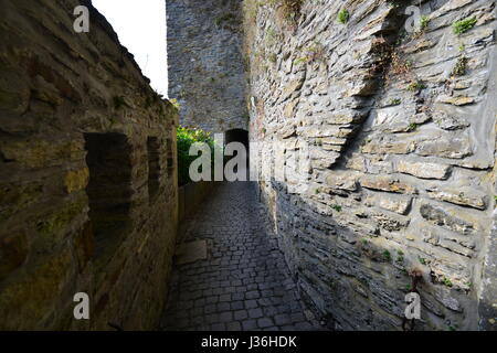 Il Castello di Bouillon Foto Stock