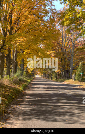Una bellissima Scenic back road in caduta delle foglie Foto Stock