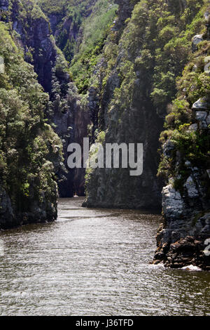 Tempeste River Gorge Tsitsikamma National Park Garden Route del Sud Africa Foto Stock