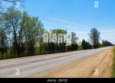 Alberi lungo la strada. Strada asfaltata che corre tra gli alberi della campagna. Foto Stock